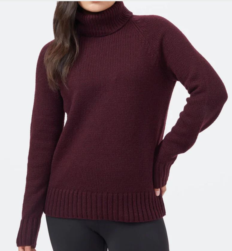 Tentree Highline Wool Turtleneck Sweater