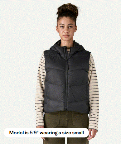 Patagonia Sindit Vest