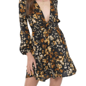 Sadie and Sage With Ease Front Tie Deep V Mini Dress