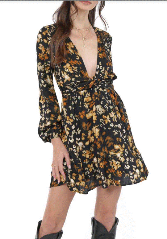 Sadie and Sage With Ease Front Tie Deep V Mini Dress