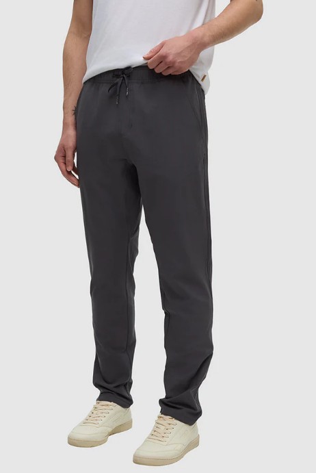 Tentree Simcoe Pant