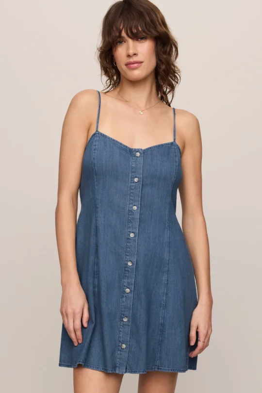 Z Supply Angel Eyes Denim Mini Dress