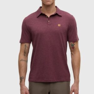 Tentree Astir Polo