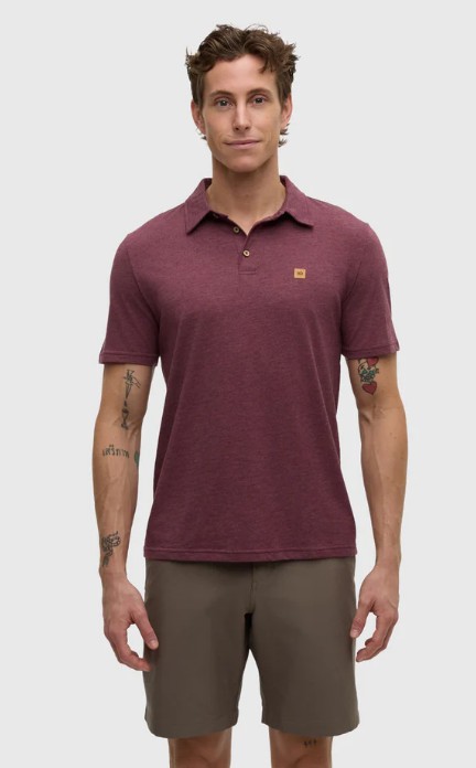 Tentree Astir Polo