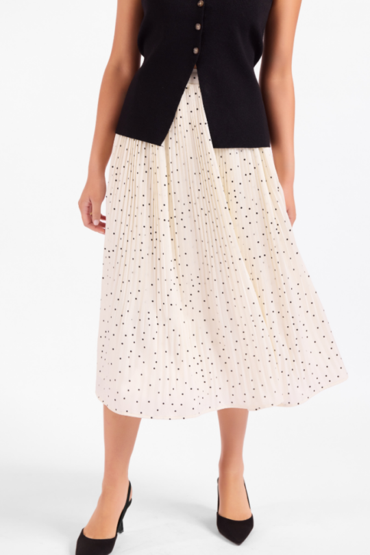 Sadie and Sage Letters Home Pleated Maxi Skirt